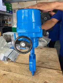 QT09 Butterfly 4” 220VAC