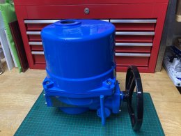 QT28 NEUMAX MOTORIZED ELECTRIC ACTUATOR 220Vac