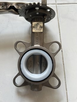 DN50 Butterfly Valve wafer type stainless 316
