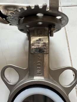 DN50 Butterfly Valve wafer type stainless 316