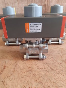 Pneumatic Actuator RAT032 Ball Valve 3PC DN25