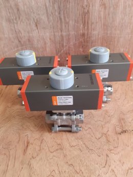 Pneumatic Actuator RAT032 Ball Valve 3PC DN25