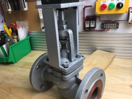 Pneumatic cylinder SC63x50 for Globe valve