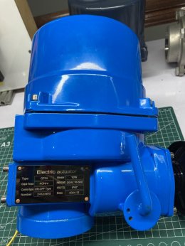 QT04 NNEUMAX MOTORIZED ELECTRIC ACTUATOR 220Vac