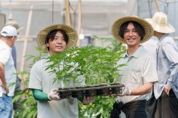 TNRBio จับมือ Nishinihon KS ประเทศญี่ปุ่น ศึกษาความร่วมมือด้านการเพาะปลูกกัญชงแบบควบคุม THC