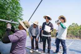 TNRBio จับมือ Nishinihon KS ประเทศญี่ปุ่น ศึกษาความร่วมมือด้านการเพาะปลูกกัญชงแบบควบคุม THC