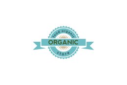 Design Logo
