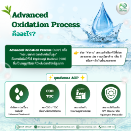 Advanced Oxidation Process