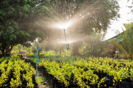 น้ำเทาคืออะไร? ทำความเข้าใจระบบบำบัดน้ำเทาและการนำน้ำกลับมาใช้ใหม่อย่างยั่งยืน