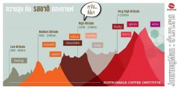 ความสูง กับ รสชาติของกาแฟ ความสัมพันธ์ที่ต้องพูดถึง..