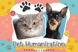 Pet Humanization Trend