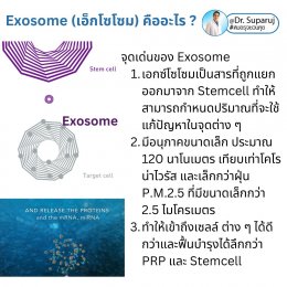 Exosome (เอ็กโซโซม) คืออะไร? & ช่วยเรื่องปัญหาผิวหนังได้อย่างไรบ้าง?