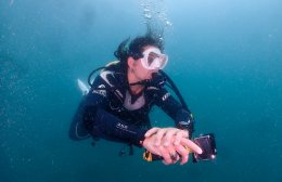 5 Reasons Why You Should Come to Pattaya for Scuba Diving