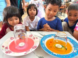 วิทยาศาสตร์แสนสนุก ความสุขของเด็กน้อยนาป่ามโนรถ⭐