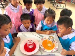 วิทยาศาสตร์แสนสนุก ความสุขของเด็กน้อยนาป่ามโนรถ⭐