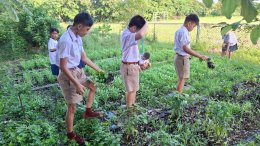  ติดตามการเจริญเติบโตของพืช ผัก และกำจัดวัชพืช