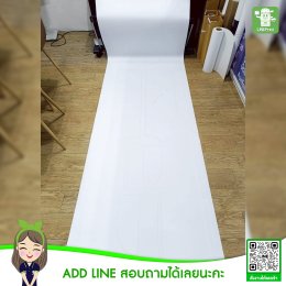 Large poster 24 inches x 3 meters.