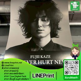 Large poster 24 inches x 3 meters.