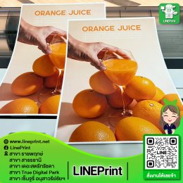 โปสเตอร์พรีเมี่ยม