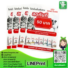 Color printing on glossy art paper/art card.