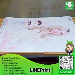 โปสเตอร์พรีเมี่ยม