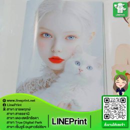 โปสเตอร์พรีเมี่ยม