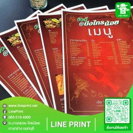 Brochures, leaflets