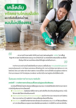 บทความ แก้ปัญหาคราบและกลิ่นอับหลังน้ำท่วม