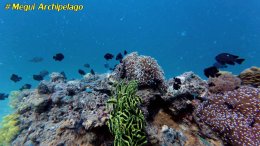 อเวย์ปิลา รีสอร์ท(หมู่เกาะเมอร์กุย เมียนมาร์) โทร.080-4199290