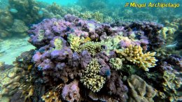 อเวย์ปิลา รีสอร์ท(หมู่เกาะเมอร์กุย เมียนมาร์) โทร.080-4199290