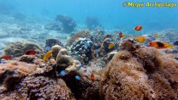 อเวย์ปิลา รีสอร์ท(หมู่เกาะเมอร์กุย เมียนมาร์) โทร.080-4199290