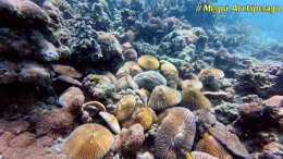 อเวย์ปิลา รีสอร์ท(หมู่เกาะเมอร์กุย เมียนมาร์) โทร.080-4199290