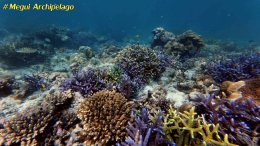 อเวย์ปิลา รีสอร์ท(หมู่เกาะเมอร์กุย เมียนมาร์) โทร.080-4199290