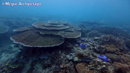 อเวย์ปิลา รีสอร์ท(หมู่เกาะเมอร์กุย เมียนมาร์) โทร.080-4199290