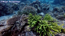 อเวย์ปิลา รีสอร์ท(หมู่เกาะเมอร์กุย เมียนมาร์) โทร.080-4199290