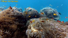 อเวย์ปิลา รีสอร์ท(หมู่เกาะเมอร์กุย เมียนมาร์) โทร.080-4199290