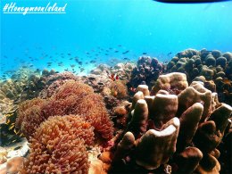 เกาะฮันนีมูน ทะเลพม่า โทร.0804199290