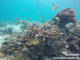 Myeik Archipelago, Myanmar