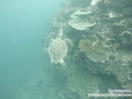 Myeik Archipelago, Myanmar