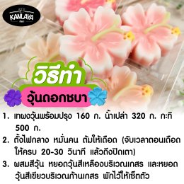 วุ้นดอกชบา