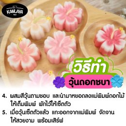 วุ้นดอกชบา