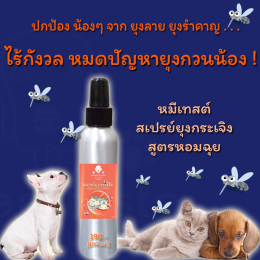 พยาธิหนอนหัวใจ ภัยร้ายของ น้องหมา น้องเหมียว มีพาหะเป็น ยุง !