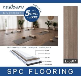 พื้น SPCE5mm.4+1ixpe