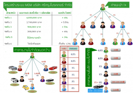 แผนการตลาด MGM