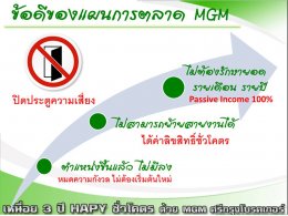 แผนการตลาด MGM