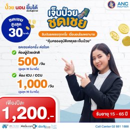 ประกันชดเชยรายได้