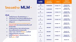 ตำแหน่งบริหาร MLM คืออะไร