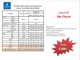 ประเภท 3 ไทยไพบูลย์ประกันภัย