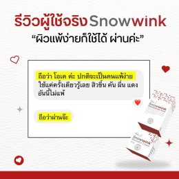 Snowwink Review