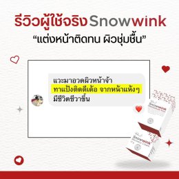 Snowwink Review